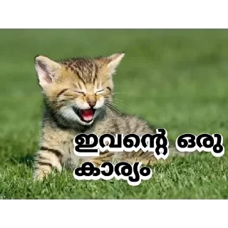 Sticker Больше стикеров 👉🏻 @stickertg4 - 5