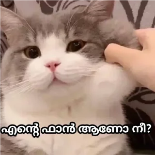 Sticker Больше стикеров 👉🏻 @stickertg4 - 6