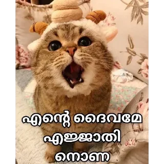 Sticker Больше стикеров 👉🏻 @stickertg4 - 11