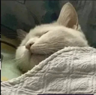 Sticker Больше стикеров 👉🏻 @stickertg4 - 2