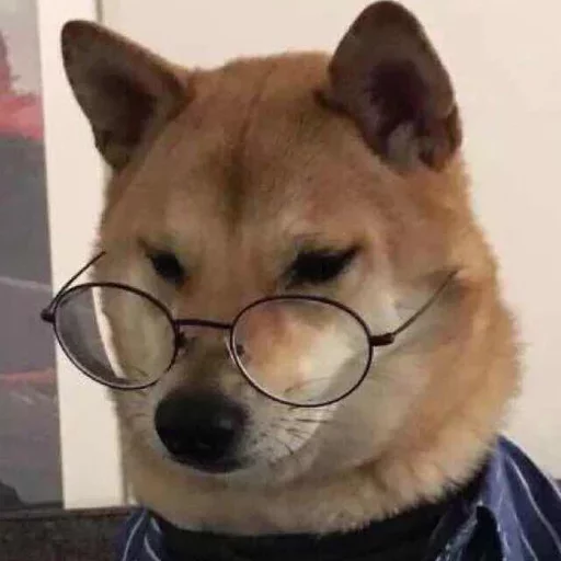 Нахуй я родился - 