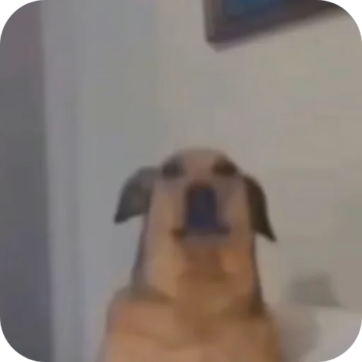 Гипертония ануса - 