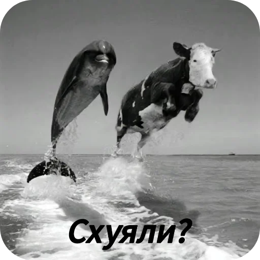 Sticker GipertoniyaAnusa3 - 1