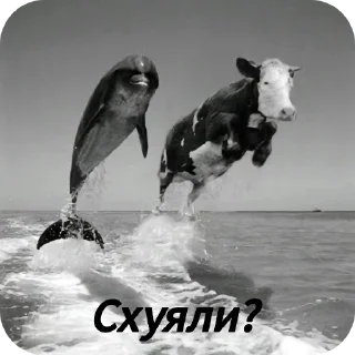 Sticker Гипертония ануса - 1