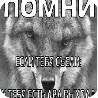 Sticker Гипертония ануса - 11