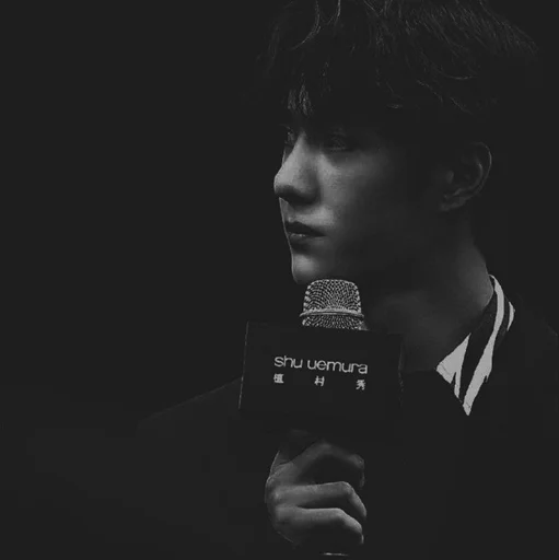 Sticker Wang.YiBo @SwanPack - 8