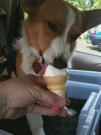 Стикер Gkoop - 1