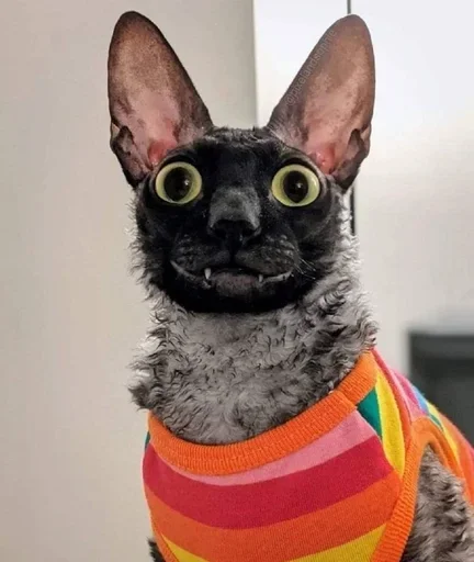 Sticker GkxKUHM_by_achestickbot - 1