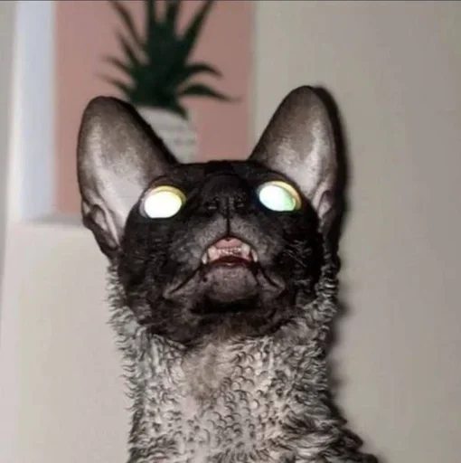 Sticker GkxKUHM_by_achestickbot - 1