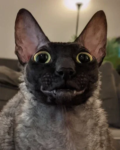 Sticker GkxKUHM_by_achestickbot - 1