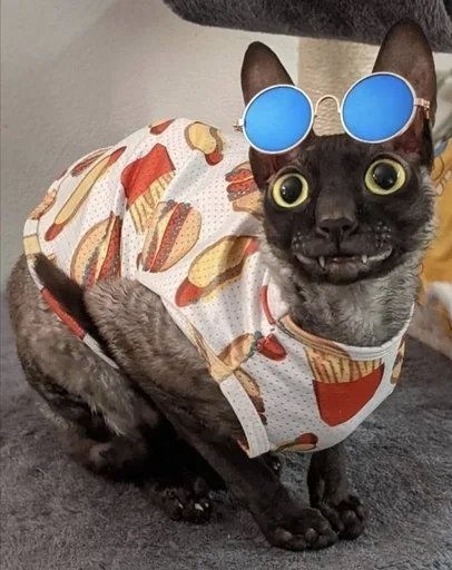 Sticker GkxKUHM_by_achestickbot - 1