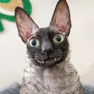 Sticker Больше стиков тут: @stikery4 - 11