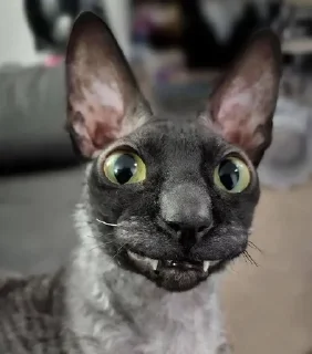 Sticker Больше стиков тут: @stikery4 - 8