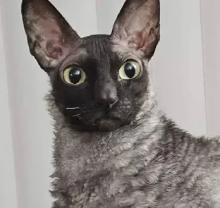 Sticker Больше стиков тут: @stikery4 - 1