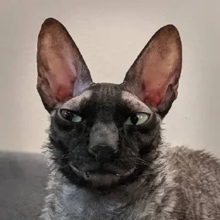 Sticker Больше стиков тут: @stikery4 - 7