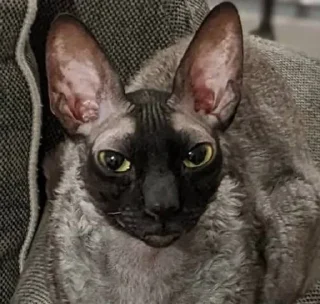 Sticker Больше стиков тут: @stikery4 - 9