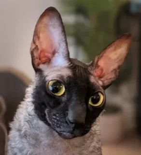 Sticker Больше стиков тут: @stikery4 - 6