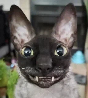 Sticker Больше стиков тут: @stikery4 - 10