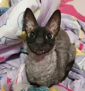 Sticker Больше стиков тут: @stikery4 - 3