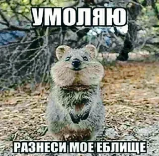 Стикер Создай стикеры в @new_stickerbot - 10