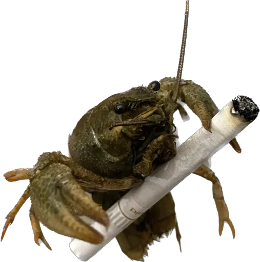 Стикер Glackich - 1