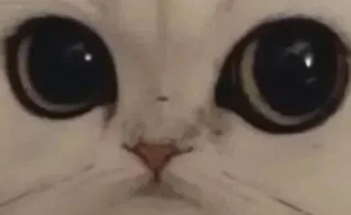 Стикер 👀 - 11