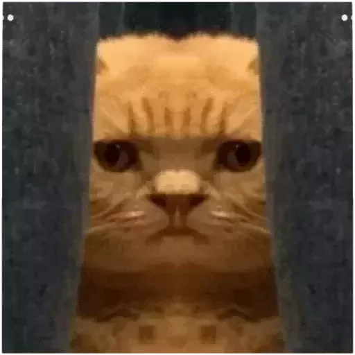 Стикер 👀 - 7