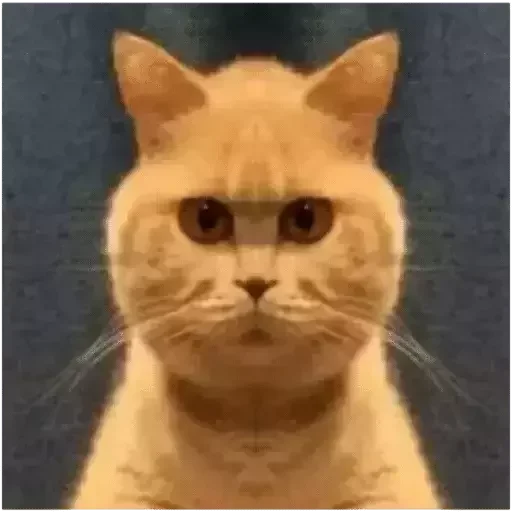 Стикер 👀 - 5