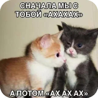 Sticker Глеб и Денис наркоши - 6