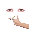 Sticker Шакальный пак - 0