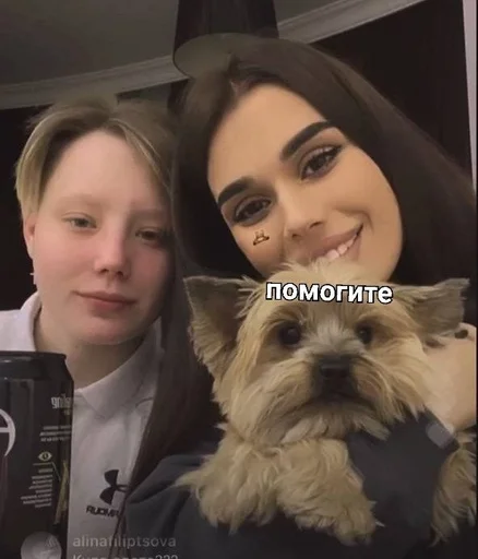 person human face pet