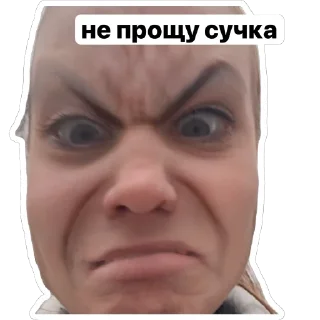 Sticker гломзи шпомзи 2💕🐿️🌰 - 4