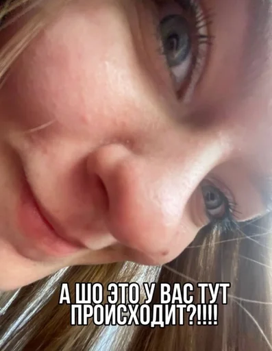 Стикер бебра :: @fStikBot - 5