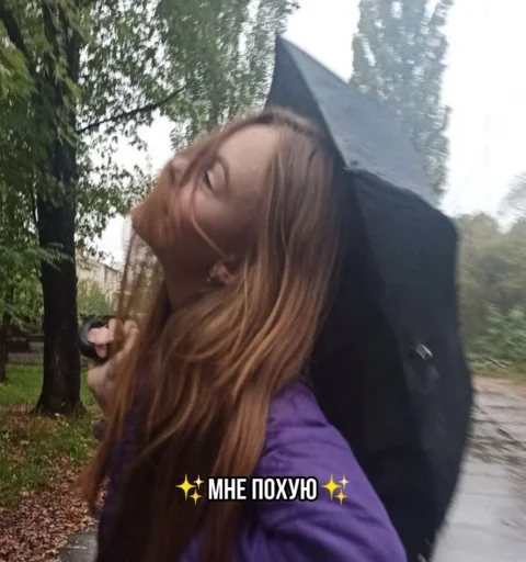 Стикер бебра :: @fStikBot - 1