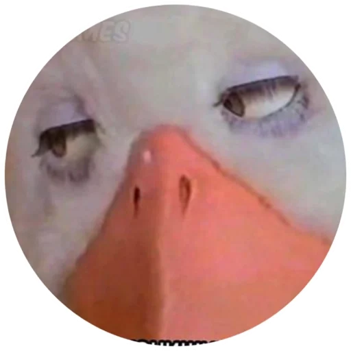 Sticker Блаблабла - 9