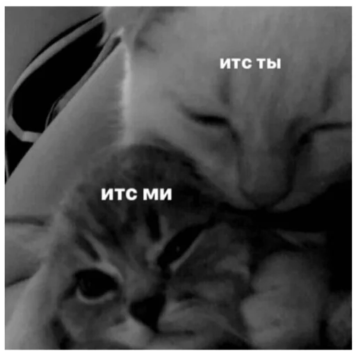 Sticker Блаблабла - 7