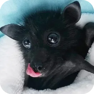 Стикер Глупые мышаньи - 10