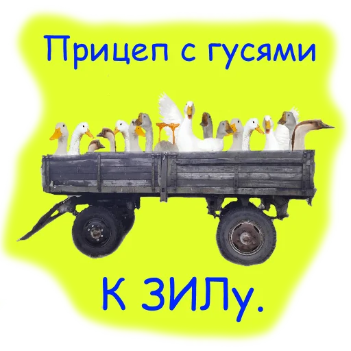 wheel tire auto part