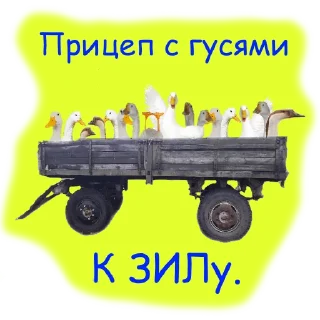 колесо шина автозапчасти