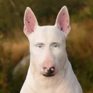 Стикер Больше стикеров 👉🏻 @stickertg4 - 2