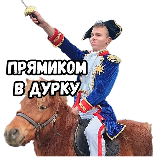 clothing stallion mare