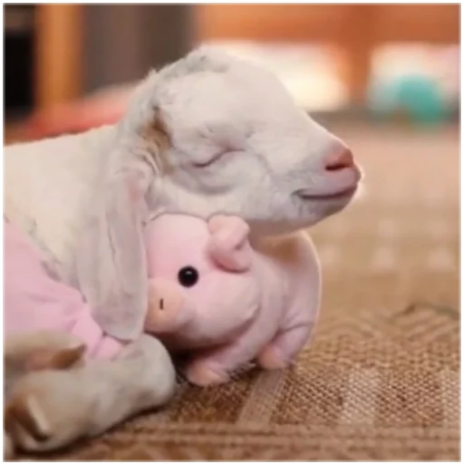 Стикер Goatz - 1