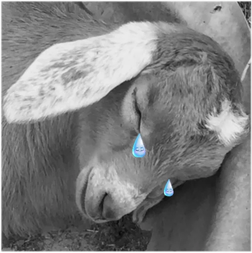 Стикер Goatz - 1