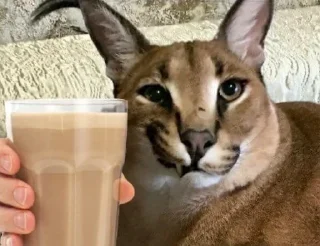 Sticker GoblinPack™ - 9