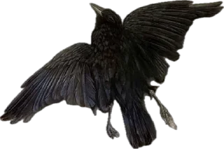 Sticker @goblynskaya - 6