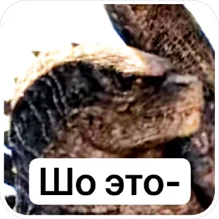 Стикер GodzillaVerse Pack - 8