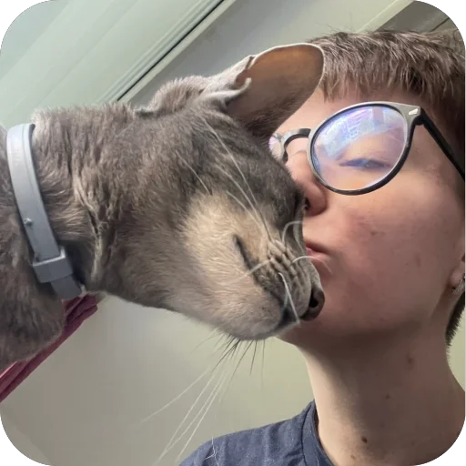 Sticker Goga_cat - 1