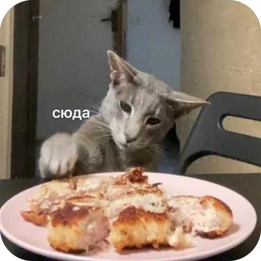 Sticker Goga_cat - 1