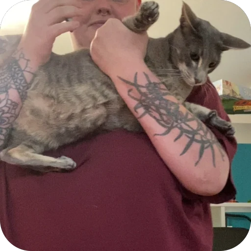 Sticker Goga_cat - 1