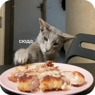 Стикер Гога🏔️🦅 - 5